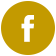 547529630b1b0c42491d3a5f_icon1.png